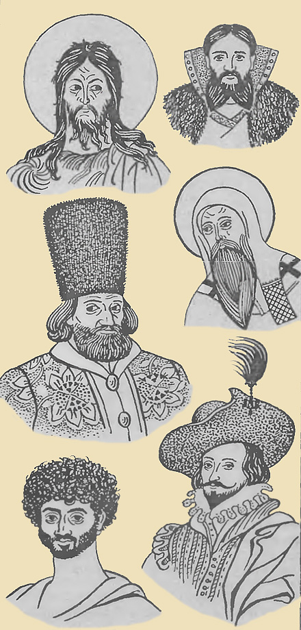 Типы бород